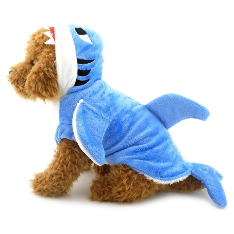 Best Dog Shark Costumes For Halloween