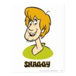 Shaggy Halloween costume