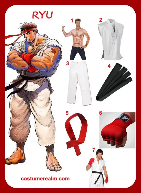 Ryu Costume