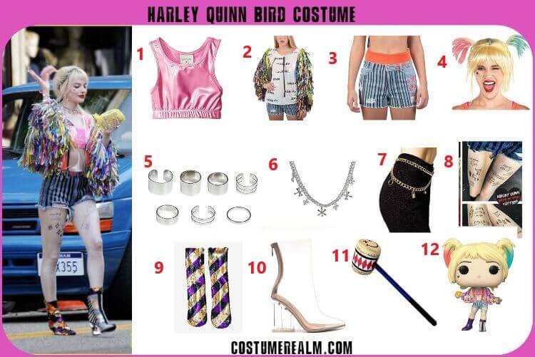Birds Of Prey Harley Quinn
