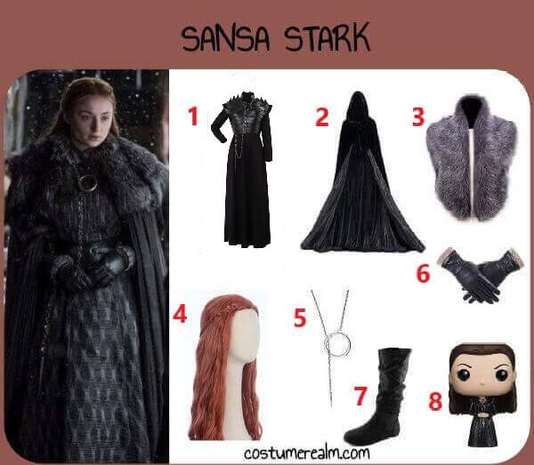 Diy Sansa Stark Costume