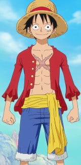 One Piece Luffy Costume