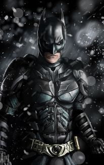 Batman 2012 Cosplay