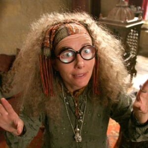 Sybill Trelawney Outfits Harry Potter