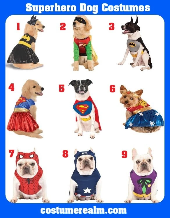 Superhero Dog Costumes