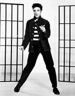 Elvis Presley Costume Ideas