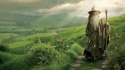 Gandalf The Lord of the Rings Halloween Costume