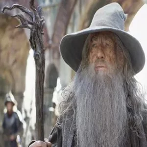 Gandalf The Lord of the Rings Outfits