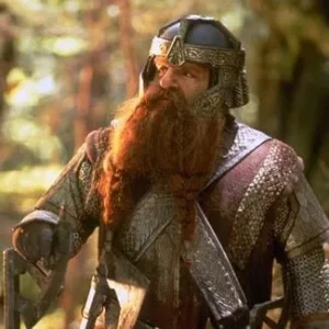 Gimli The Lord of the Rings Outfits