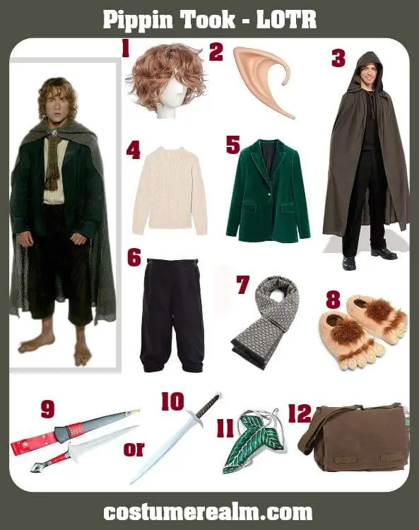 Peregrin Took Pippin Costume