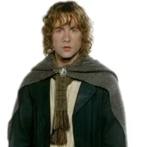 Peregrin Took Pippin Outfits