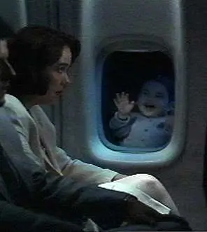 Pubert Addams outside a plane window