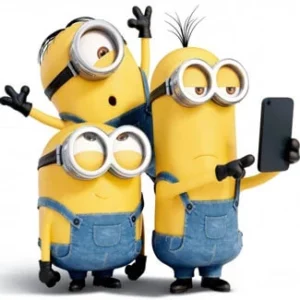 Minions Despicable Me Outfits