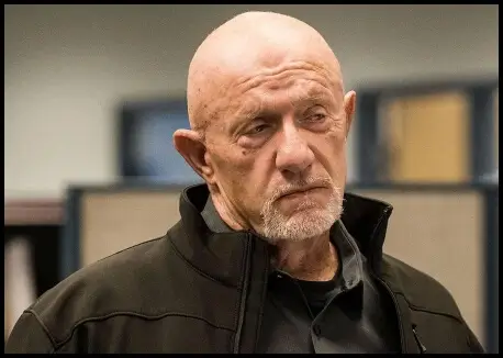 Mike Ehrmantraut Halloween Costume Guide