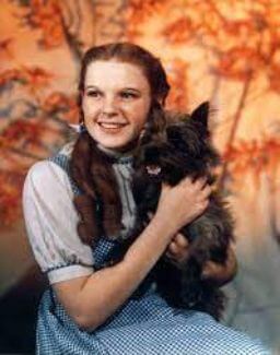 Dorothy Gale Halloween Costume