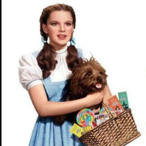 Dorothy Gale Outfits