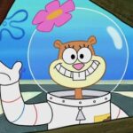Sandy Cheeks Halloween costume