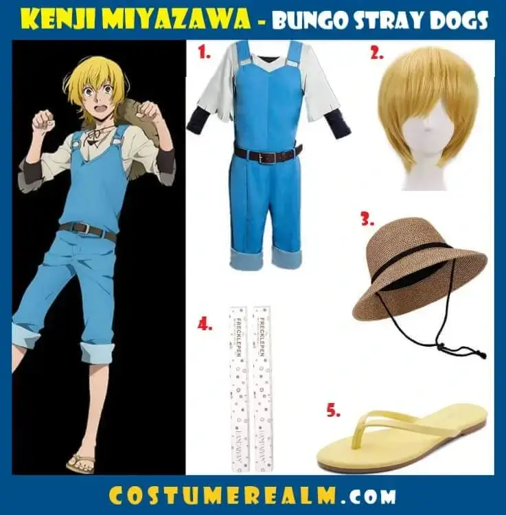 Kenji Miyazawa Costume