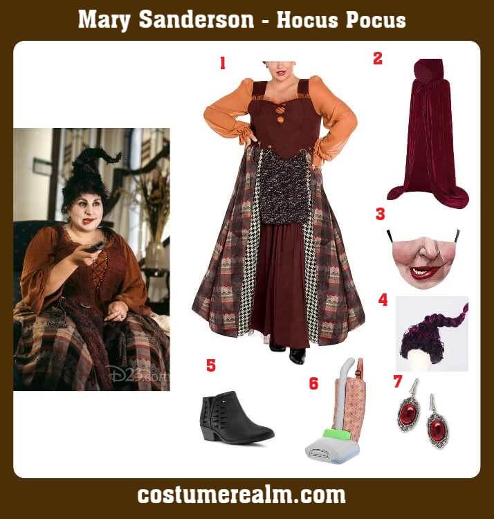 Mary Sanderson Costume