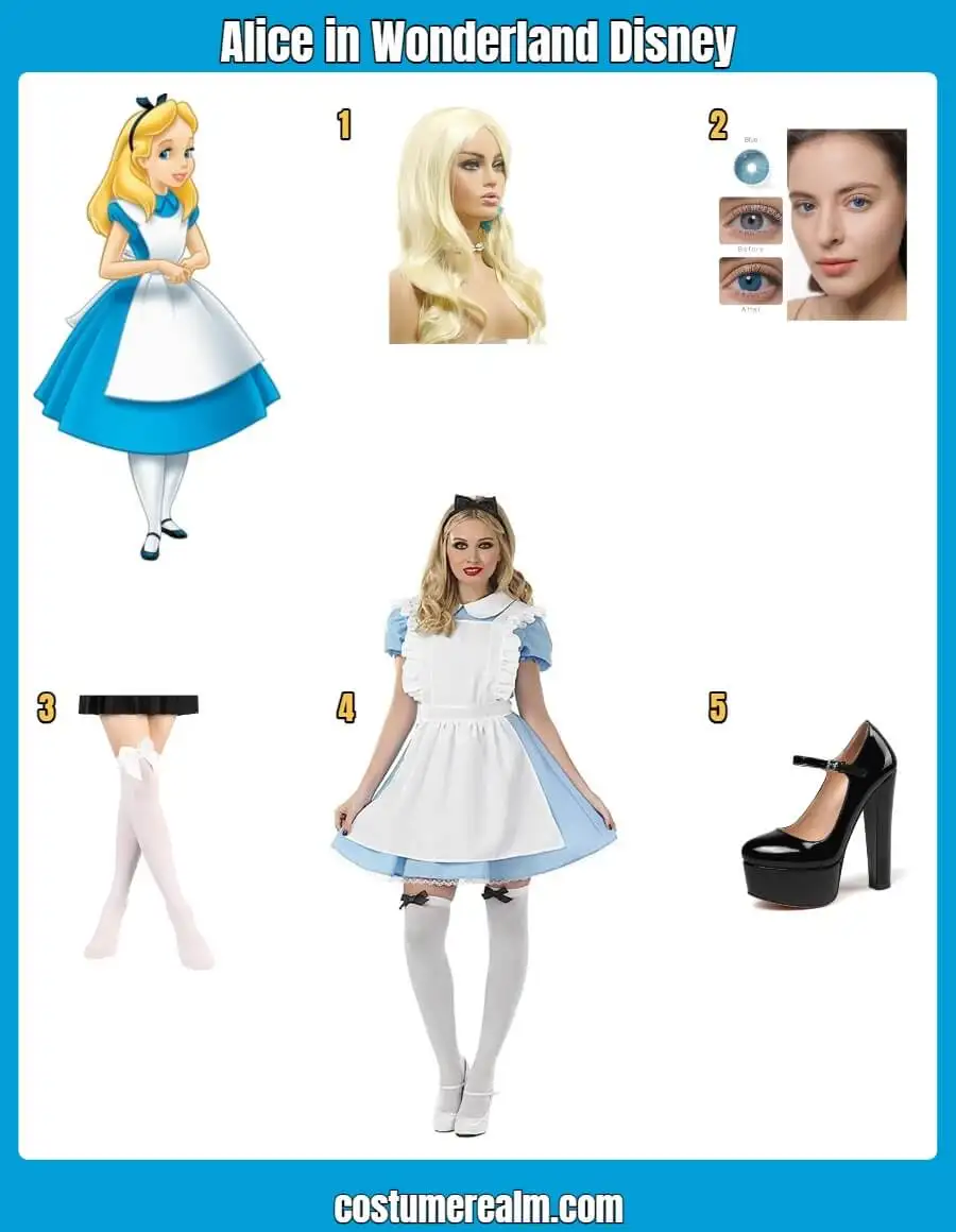 Alice in Wonderland Disney Costume