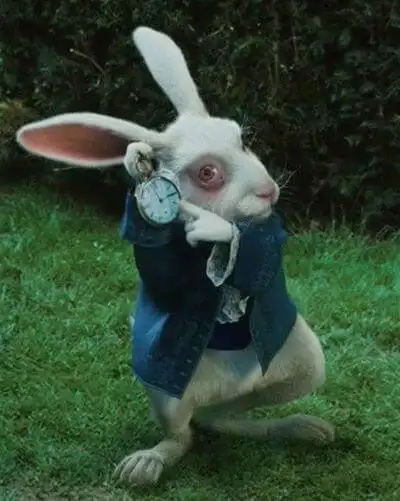 White Rabbit - Alice in Wonderland 2010 Cosplay