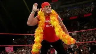 Hulk Hogan Halloween Costume