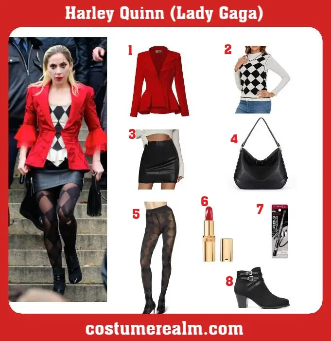 Lady Gaga Harley Quinn Costume