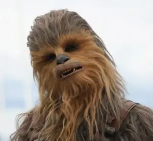 Chewbacca Star Wars Wookiee Halloween Costume Guide