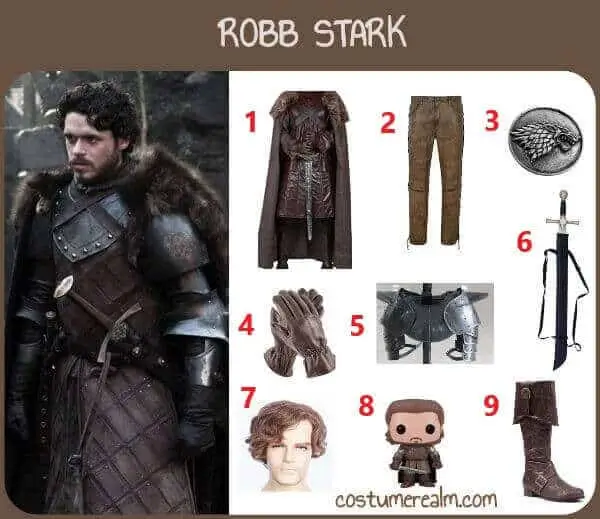 Robb Stark cosplay guide infographic showing tunic, cape, gorget, pauldron, leather trousers, boots, House Stark pin, and foam sword