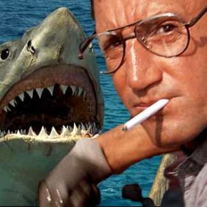 Chief Martin Brody From Jaws Halloween Costume Guide
